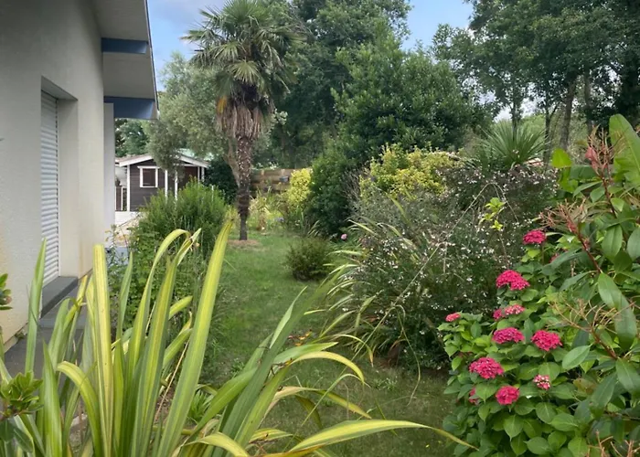 Naturea * Messanges (Landes)